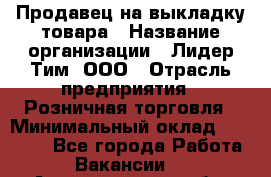 Продавец на выкладку товара › Название организации ­ Лидер Тим, ООО › Отрасль предприятия ­ Розничная торговля › Минимальный оклад ­ 17 600 - Все города Работа » Вакансии   . Архангельская обл.,Пинежский 